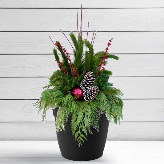 Blooms + Planter - MERRY AND BRIGHT