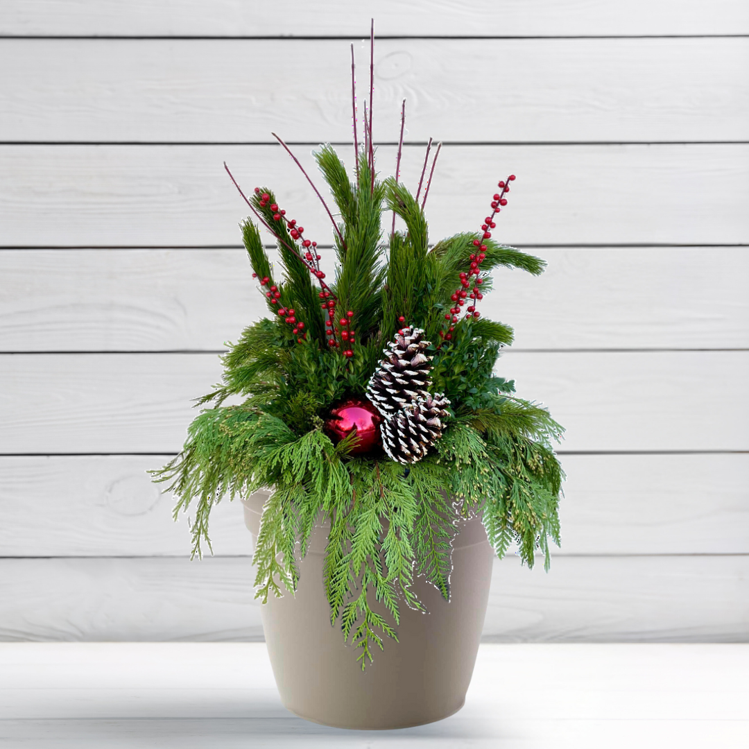 Blooms + Planter - MERRY AND BRIGHT