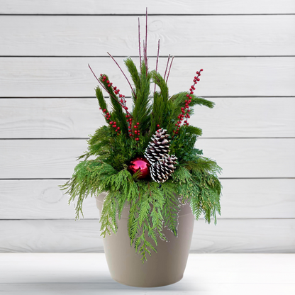 Blooms + Planter - MERRY AND BRIGHT